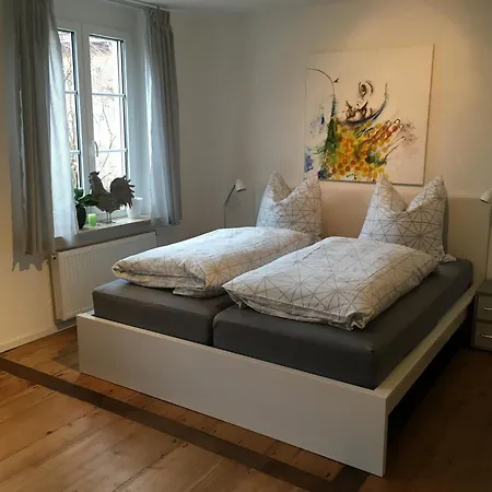 Hannes Und Stefanie Fleischer Apartment Wangen (Ohningen)